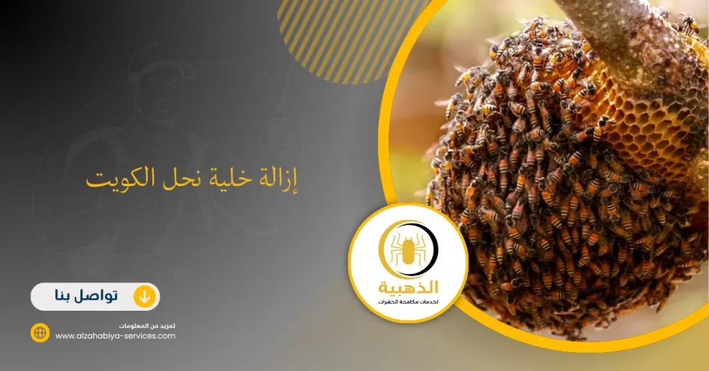 إزالة خلية نحل الكويت