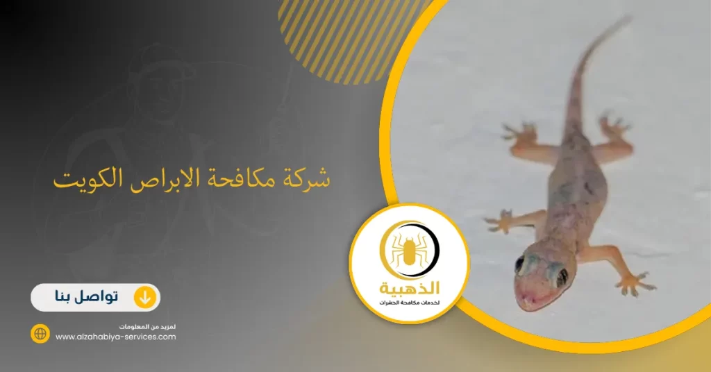 شركة مكافحة الابراص الكويت