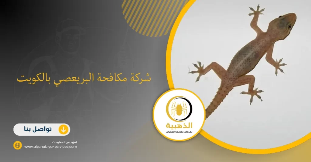 شركة مكافحة البريعصي بالكويت