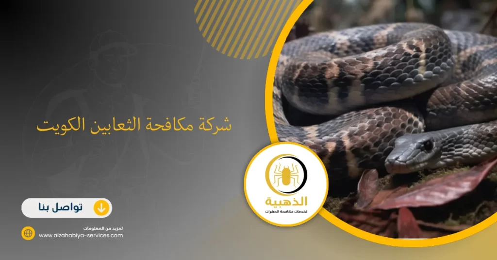 شركة مكافحة الثعابين الكويت