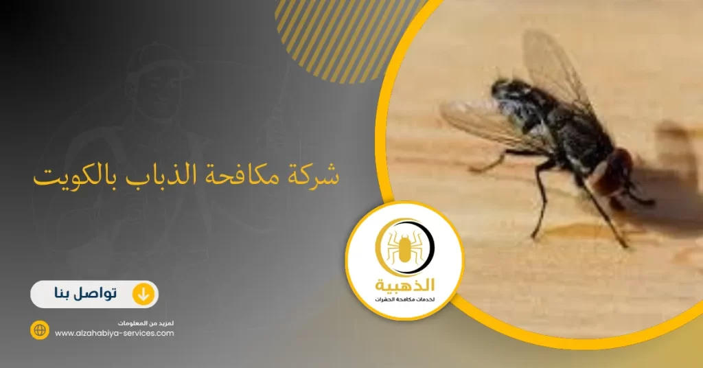 شركة مكافحة الذباب بالكويت
