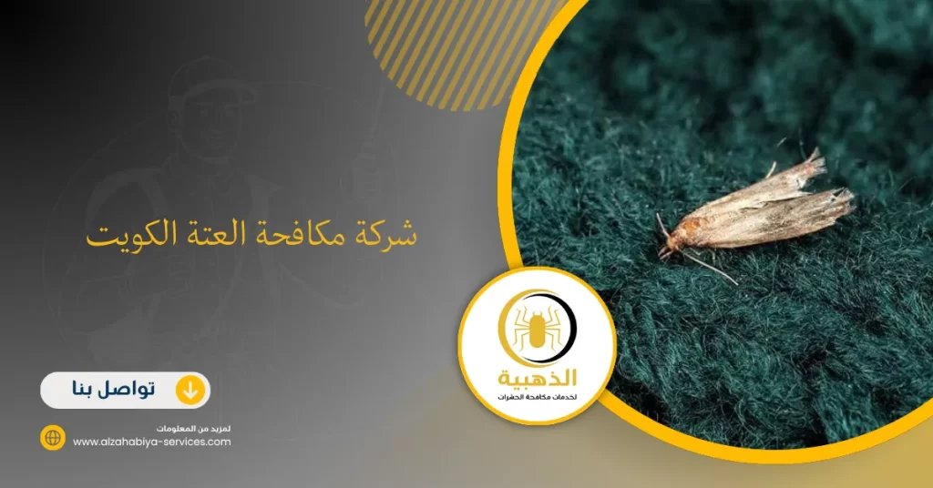 شركة مكافحة العتة الكويت