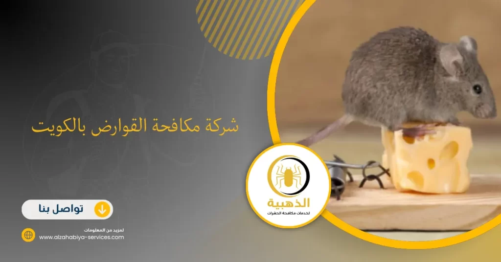 شركة مكافحة القوارض بالكويت