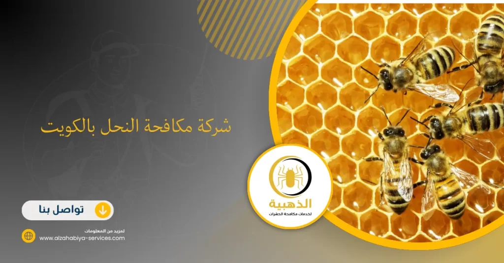 شركة مكافحة النحل بالكويت