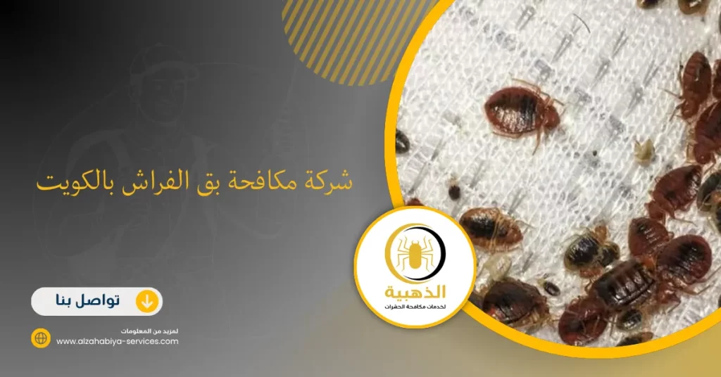 شركة مكافحة بق الفراش بالكويت