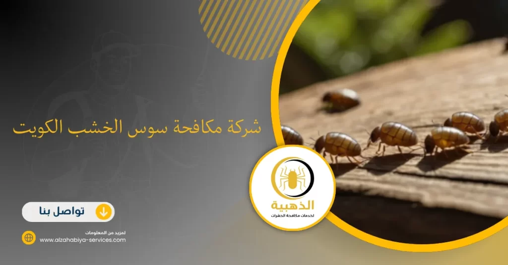 شركة مكافحة سوس الخشب الكويت