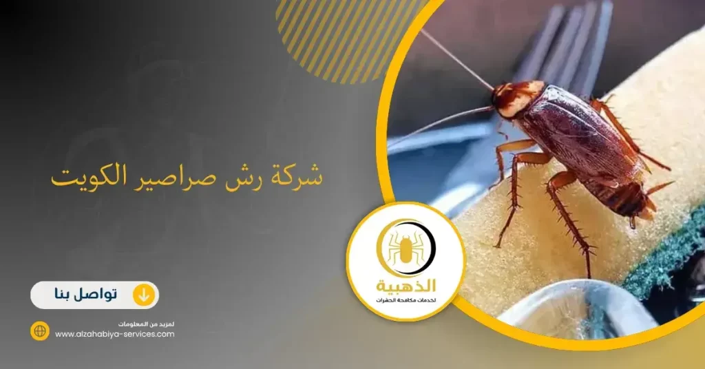شركة رش صراصير الكويت