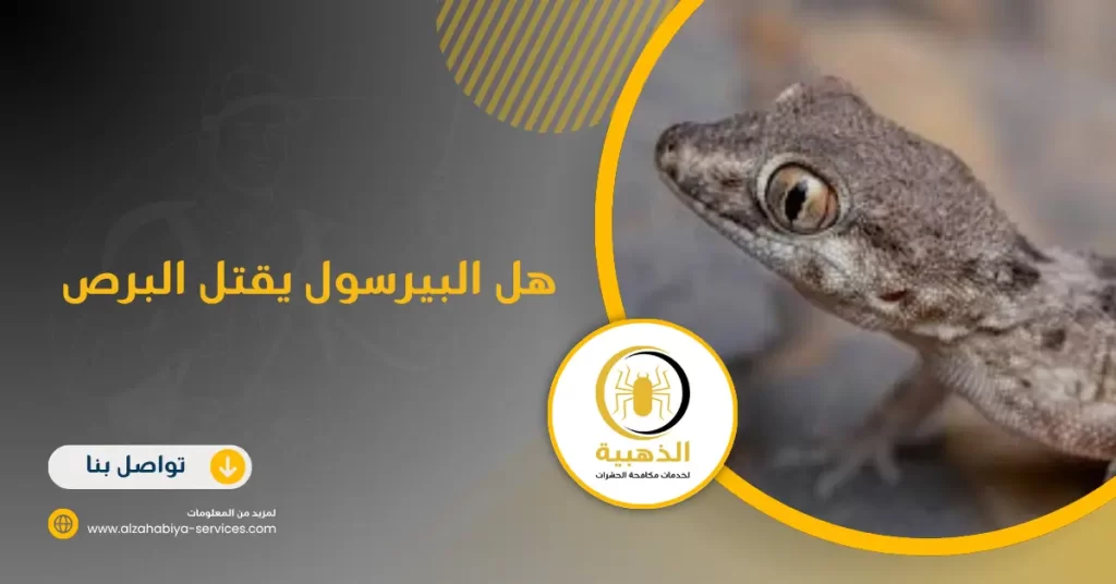 هل البيرسول يقتل البرص