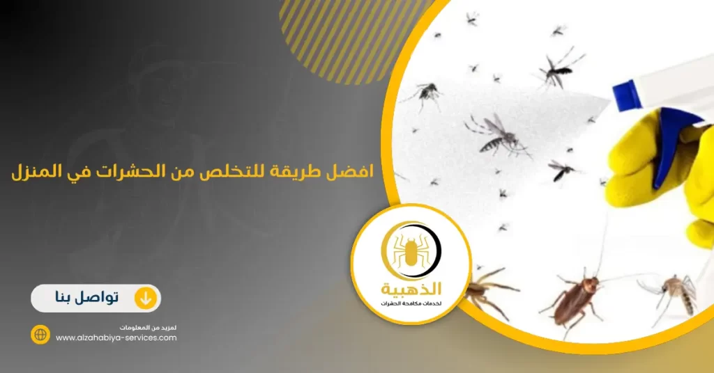 افضل طريقة للتخلص من الحشرات في المنزل