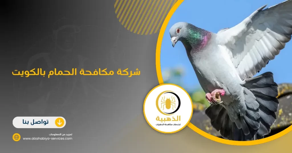 شركة مكافحة الحمام بالكويت