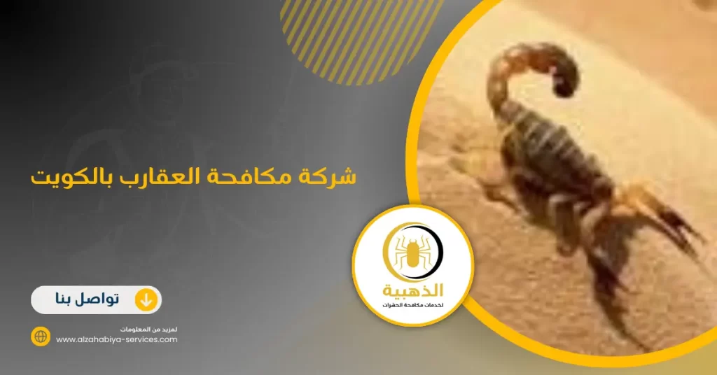 شركة مكافحة العقارب بالكويت