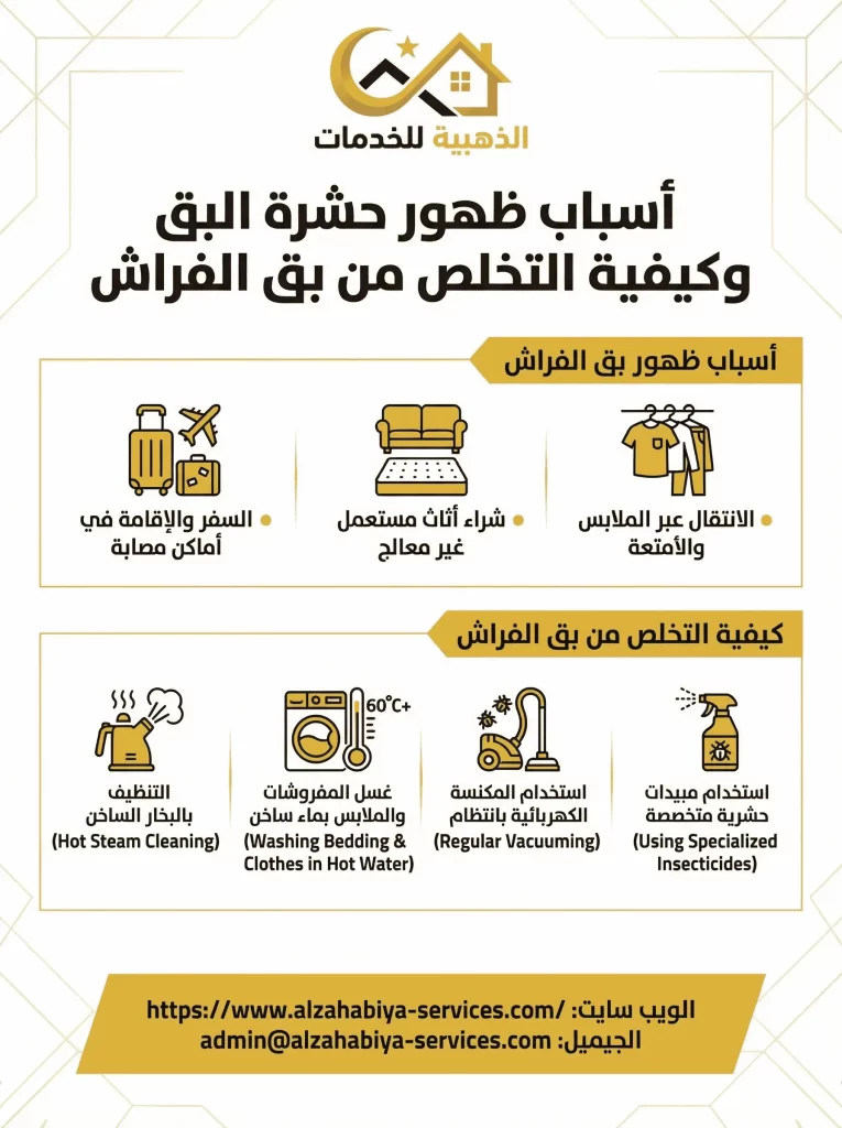 أسباب ظهور حشرة البق وكيفية التخلص من بق الفراش