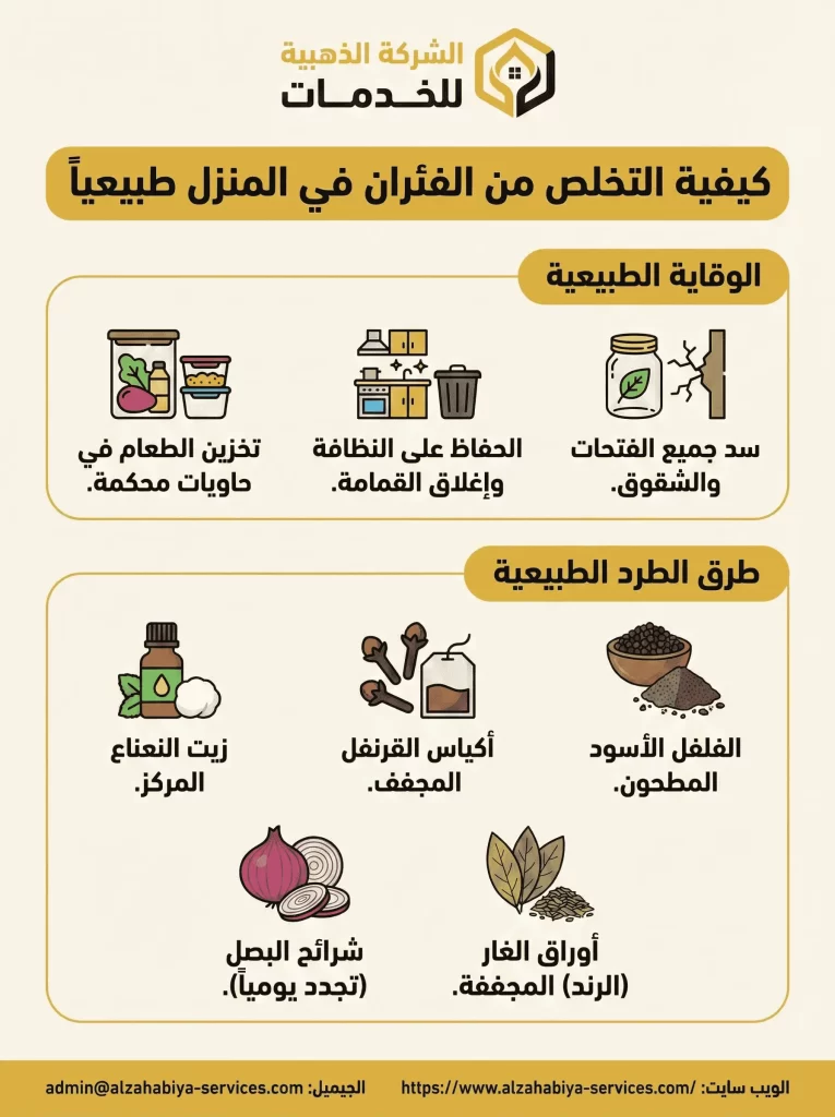 كيفية التخلص من الفئران في المنزل طبيعيا